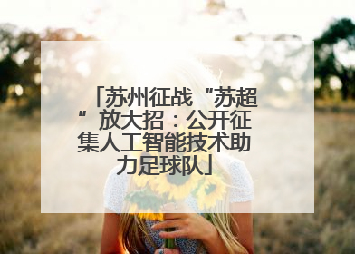 苏州征战“苏超”放大招：公开征集人工智能技术助力足球队