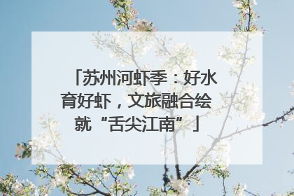 苏州河虾季：好水育好虾，文旅融合绘就“舌尖江南”