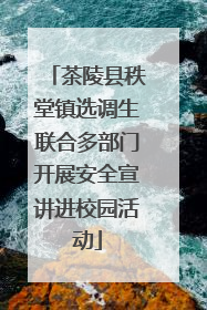 茶陵县秩堂镇选调生联合多部门开展安全宣讲进校园活动