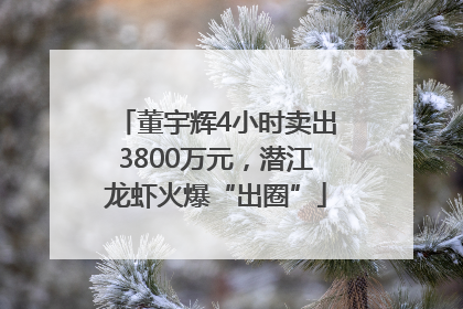董宇辉4小时卖出3800万元，潜江龙虾火爆“出圈”
