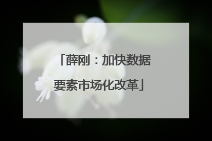 薛刚：加快数据要素市场化改革