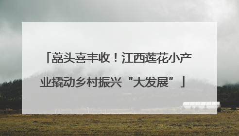藠头喜丰收！江西莲花小产业撬动乡村振兴“大发展”