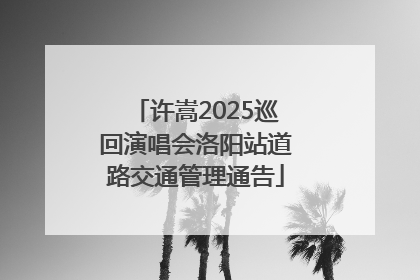 许嵩2025巡回演唱会洛阳站道路交通管理通告