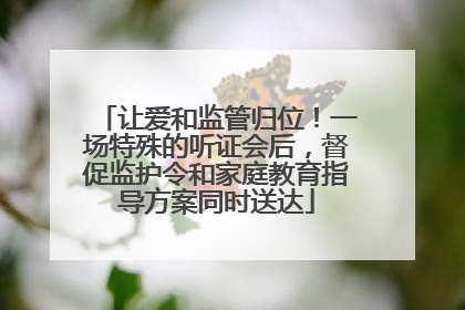 让爱和监管归位！一场特殊的听证会后，督促监护令和家庭教育指导方案同时送达