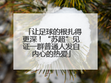 让足球的根扎得更深！“苏超”见证一群普通人发自内心的热爱