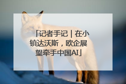 记者手记｜在小镇达沃斯，欧企展望牵手中国AI