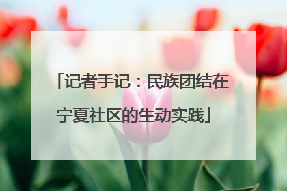 记者手记：民族团结在宁夏社区的生动实践