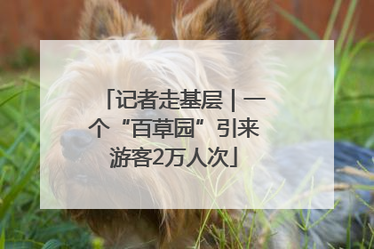 记者走基层｜一个“百草园”引来游客2万人次