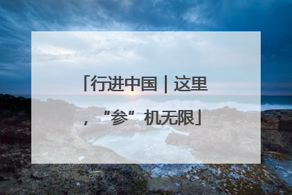 行进中国｜这里，“参”机无限