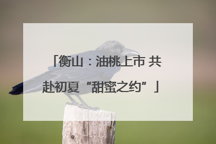 衡山：油桃上市 共赴初夏“甜蜜之约”