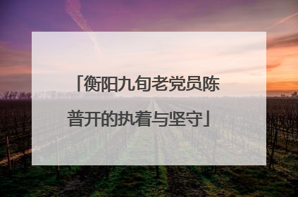 衡阳九旬老党员陈普开的执着与坚守