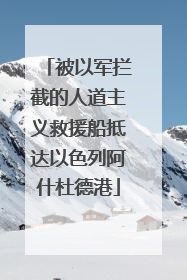 被以军拦截的人道主义救援船抵达以色列阿什杜德港
