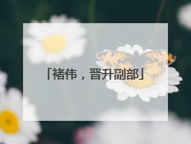 褚伟，晋升副部