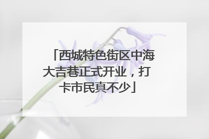 西城特色街区中海大吉巷正式开业，打卡市民真不少