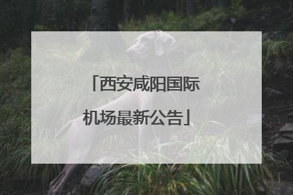 西安咸阳国际机场最新公告