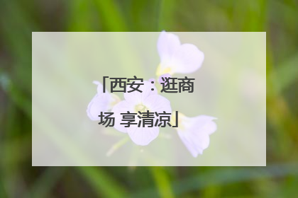 西安：逛商场 享清凉