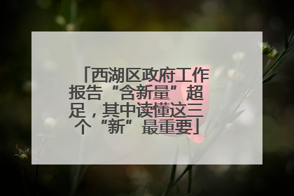 西湖区政府工作报告“含新量”超足，其中读懂这三个“新”最重要