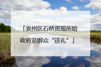 襄州区石桥资规所给政府及群众“送礼”