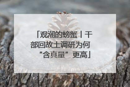 观潮的螃蟹丨干部回故土调研为何“含真量”更高