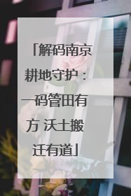 解码南京耕地守护：一码管田有方 沃土搬迁有道