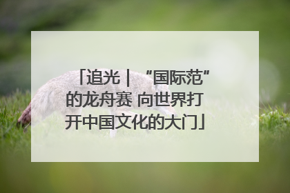 追光｜“国际范”的龙舟赛 向世界打开中国文化的大门