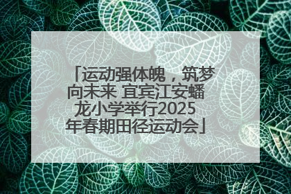 运动强体魄，筑梦向未来 宜宾江安蟠龙小学举行2025年春期田径运动会
