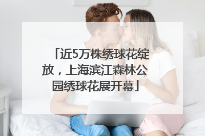 近5万株绣球花绽放，上海滨江森林公园绣球花展开幕