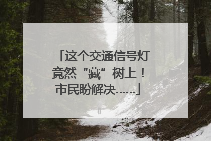 这个交通信号灯竟然“藏”树上！市民盼解决……