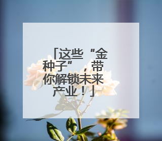 这些“金种子”，带你解锁未来产业！