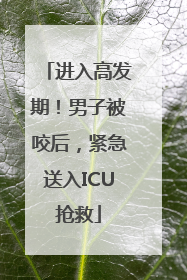 进入高发期！男子被咬后，紧急送入ICU抢救