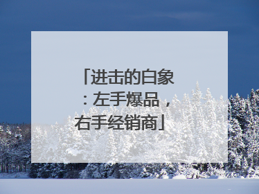 进击的白象：左手爆品，右手经销商