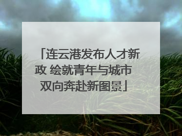 连云港发布人才新政 绘就青年与城市双向奔赴新图景
