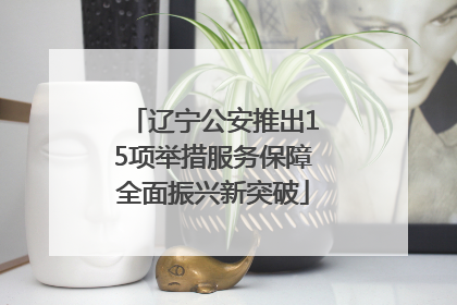 辽宁公安推出15项举措服务保障全面振兴新突破