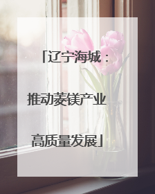 辽宁海城：推动菱镁产业高质量发展