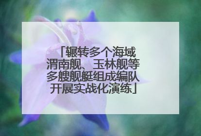 辗转多个海域 渭南舰、玉林舰等多艘舰艇组成编队开展实战化演练
