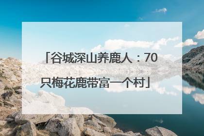 谷城深山养鹿人：70只梅花鹿带富一个村