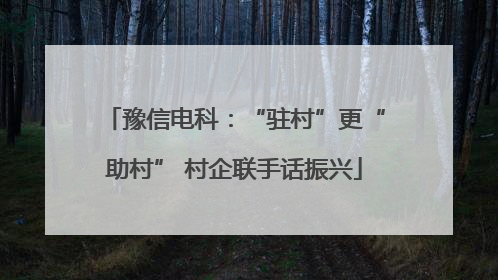 豫信电科：“驻村”更“助村” 村企联手话振兴