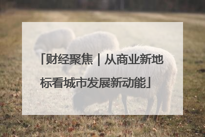 财经聚焦｜从商业新地标看城市发展新动能
