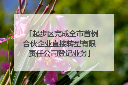 起步区完成全市首例合伙企业直接转型有限责任公司登记业务