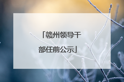 赣州领导干部任前公示