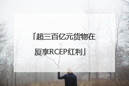 超三百亿元货物在厦享RCEP红利