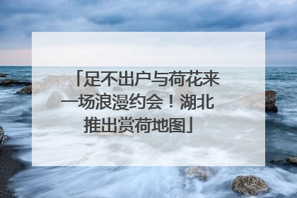 足不出户与荷花来一场浪漫约会！湖北推出赏荷地图