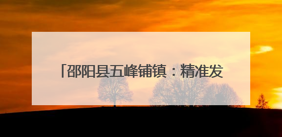邵阳县五峰铺镇：精准发展产业 拓宽共富之路