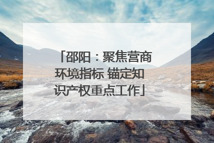 邵阳：聚焦营商环境指标 锚定知识产权重点工作