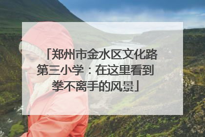郑州市金水区文化路第三小学：在这里看到拳不离手的风景