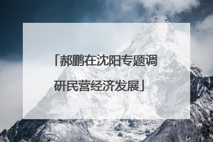 郝鹏在沈阳专题调研民营经济发展
