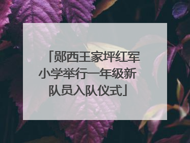 郧西王家坪红军小学举行一年级新队员入队仪式