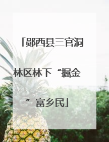郧西县三官洞林区林下“掘金”富乡民
