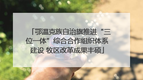 鄂温克族自治旗推进“三位一体”综合合作组织体系建设 牧区改革成果丰硕