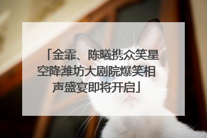 金霏、陈曦携众笑星空降潍坊大剧院爆笑相声盛宴即将开启